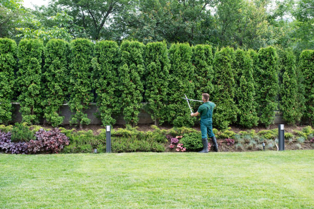 Best Utility Line Clearance  in Garfield, NJ